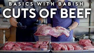 Every Cut of Beef Almost  Basics with Babish [upl. by Abita]