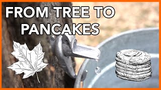 Making Maple Syrup at Home Start to Finish [upl. by Ahsiram]