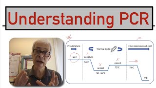 Understanding PCR [upl. by Leyla]