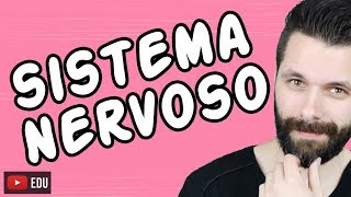 SISTEMA NERVOSO  FISIOLOGIA  Aula  Biologia com Samuel Cunha [upl. by Adnamas]