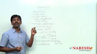 Selenium Introduction  Selenium Training Tutorial  Mr Suresh [upl. by Nniuqal]