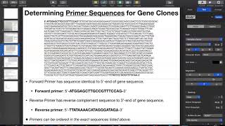 Primer Design for Cloning ENTIRE Gene Sequence [upl. by Millwater]