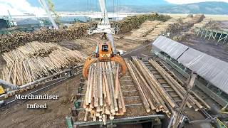 Logs to Lumber  An aerial journey through the sawmill [upl. by Brnaba]