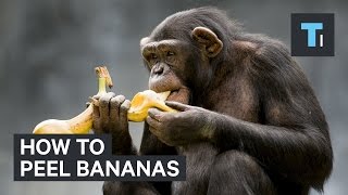 How to peel bananas [upl. by Ashlie]