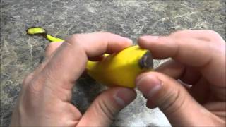 How To Peel A Banana PROPERLYTutorial [upl. by Boswall654]