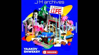 Yaakov Shwekey A Toast To Life  לחיים [upl. by Rolecnahc904]