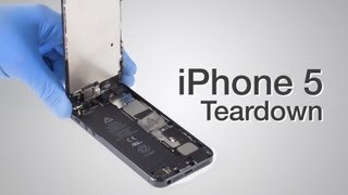 iPhone 5 Teardown  Step by step complete disassembly directions [upl. by Carilla756]