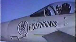 F15 Wolfhounds 32nd Tactical Fighter Squadron Soesterberg [upl. by Alat]