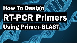 How To Create RealTime PCR Primers Using PrimerBLAST [upl. by Oliva772]