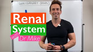 Renal System  Overview [upl. by Akkeber]