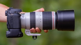 The BEST CANON 90D Wildlife Settings [upl. by Hose585]