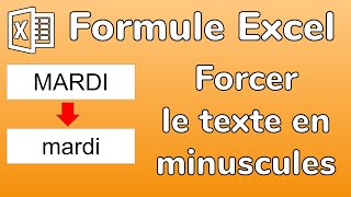 Excel  Formule MINUSCULE  Transformer un texte en minuscule dans Excel [upl. by Gregrory]