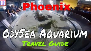 Phoenix AZ  OdySea Aquarium in Scottsdale AZ TRAVEL GUIDE  Episode 14 [upl. by Chlo146]