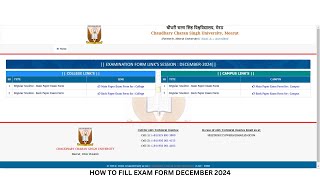 CCSU EXAM FORM DEC 2024 [upl. by Schwitzer]