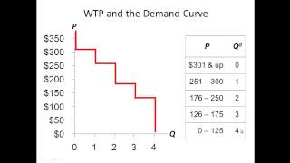 Micro Chapter 7 Willingness to Pay WTP [upl. by Latvina]