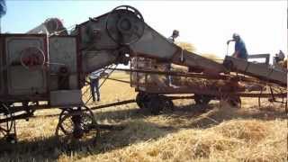 2012 Martin Threshing [upl. by Hna179]