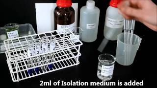 Photosynthesis in chloroplasts Hill Reaction [upl. by Nork]