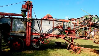 Antique wheat threshing machine demonstration [upl. by Repooc]