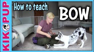 How to teach BOW  Dog Tricks tutorial [upl. by Nyrem]