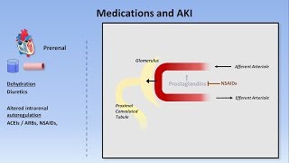 Assessing Kidney Function Glomerular Filtration Rate GFR Nephrology Lecturio [upl. by Adnale]