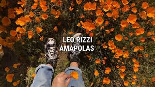 Amapolas  Leo Rizzi  letra [upl. by Birkle]