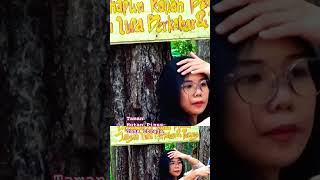 Taman Hutan Pinus [upl. by Laon]