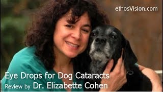 Dog Cataract Eye Drops Review by Dr Elizabette Cohen  Video [upl. by Krystin]