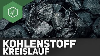 Kohlenstoffkreislauf – Stoffkreisläufe 3 [upl. by Hetti]