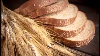 Growing Heritage Wheat at home Part 1 [upl. by Farver505]